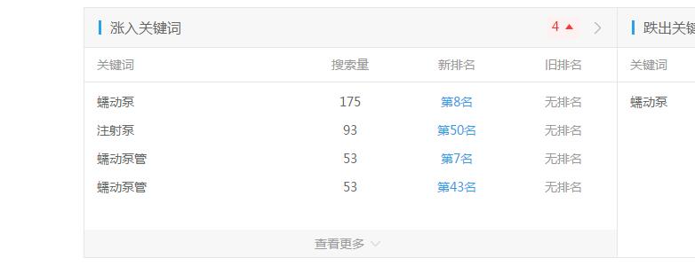 网站排名展示